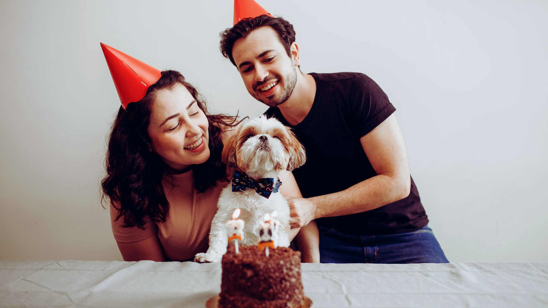 You are currently viewing Celebrating Pet Birthdays: Creative Ideas for Making Their Day Special