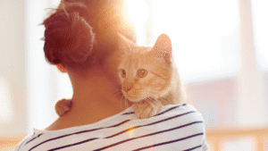 Read more about the article Daily Cat Care Essentials: A Comprehensive Guide for Every Cat Owner