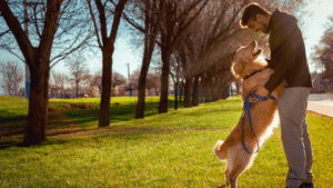 Read more about the article The Science Behind Pet Friendships: The Bonds Between Animals and Their Humans
