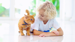 Read more about the article The Ultimate Guide to Cat Body Language: Understanding Your Feline Friend’s Signals
