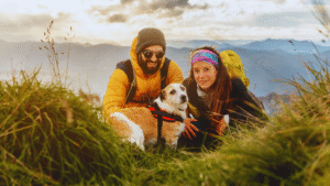 Read more about the article Traveling with Pets: Essential Tips for a Smooth Journey