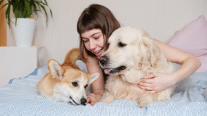 Read more about the article How Pets Help Reduce Stress and Boost Emotional Well-Being Through Science-Backed Benefits