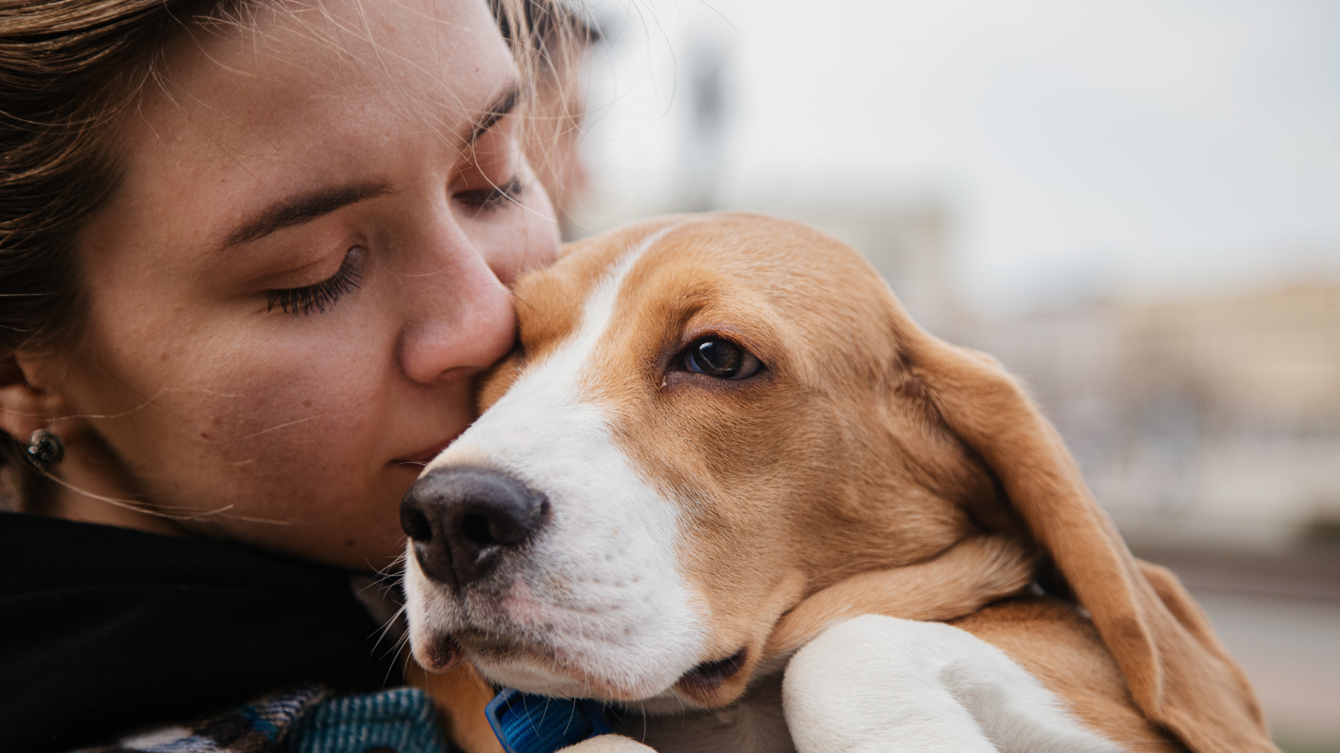 You are currently viewing How Pets Provide Comfort During Difficult Times: Enhancing Emotional Well-Being and Resilience