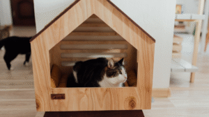 Read more about the article How to Create a Cozy Space for You and Your Pet That Enhances Comfort and Bonding