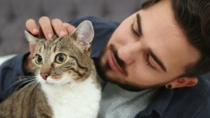 Read more about the article How to Encourage Playtime with Shy Cats: Effective Strategies for Building Trust and Engagement