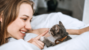 Read more about the article How to Prepare for Adopting Your First Cat: Essential Steps for a Smooth Transition