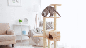Read more about the article Tips for Helping Your Pet Adjust to a New Home Quickly and Smoothly